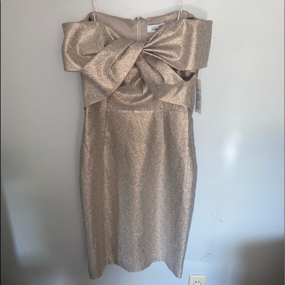 Elegant, unused, and never worn size 8 Rickie Treeman for Teri Jon dress.